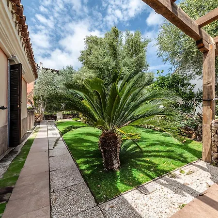 Ng Collection Il Cinto Olbia
